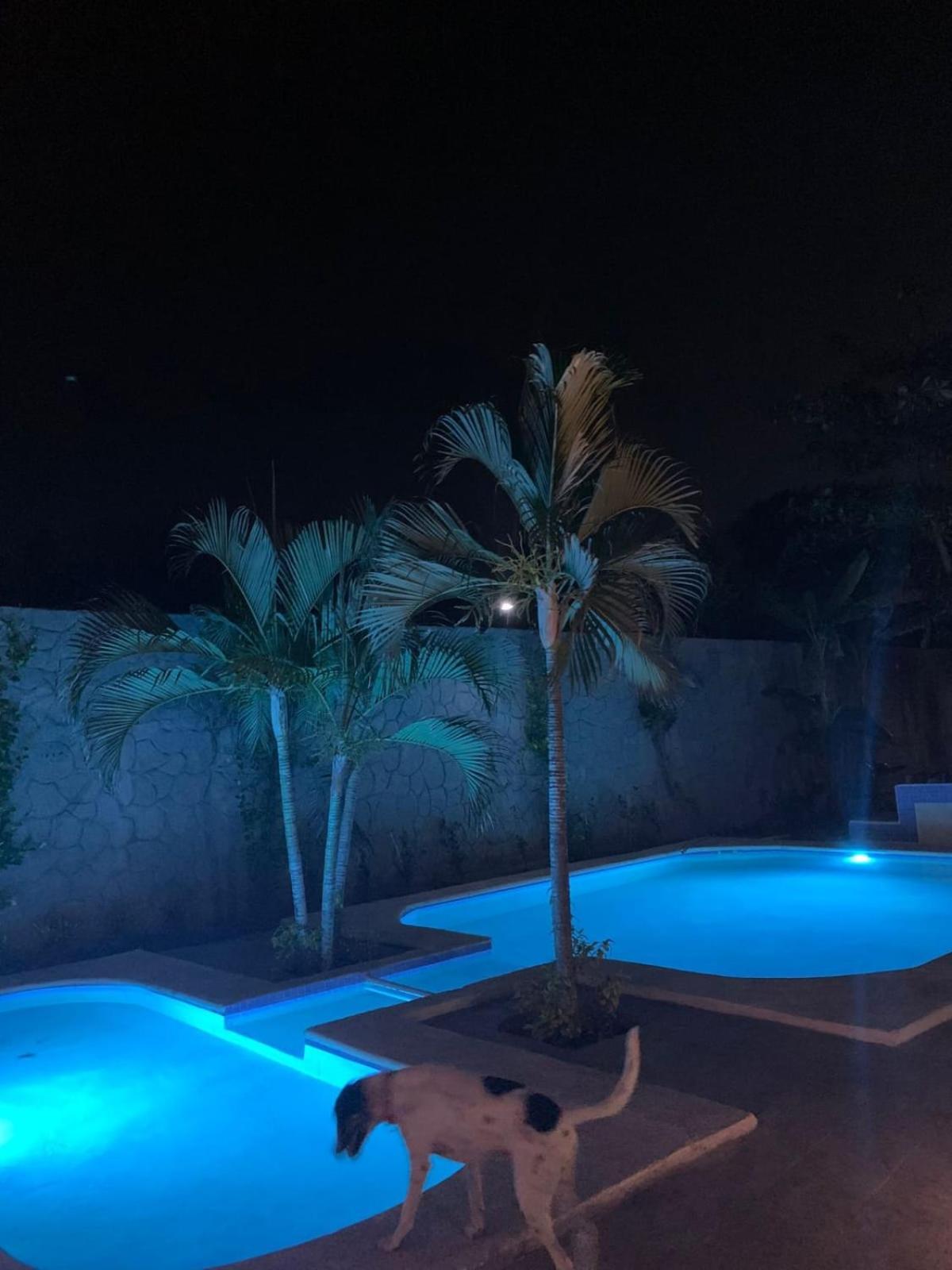 La Pucca Hotel Boutique Resort Penita de Jaltemba Exteriér fotografie